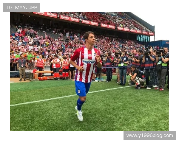 科利塞姆球场深情送别阿兰巴里